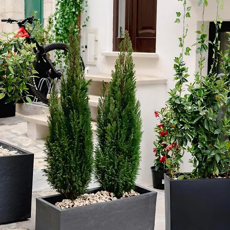 Vakantiehuis La Maison - Private Wellness -suite *