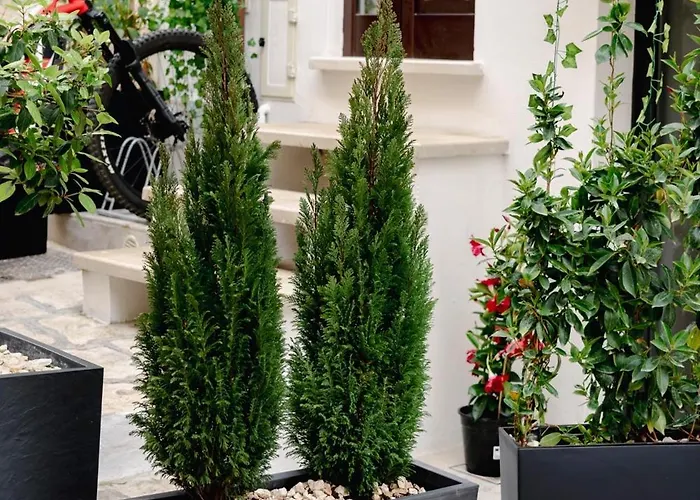 Ferienhaus La Maison - Private Wellness *